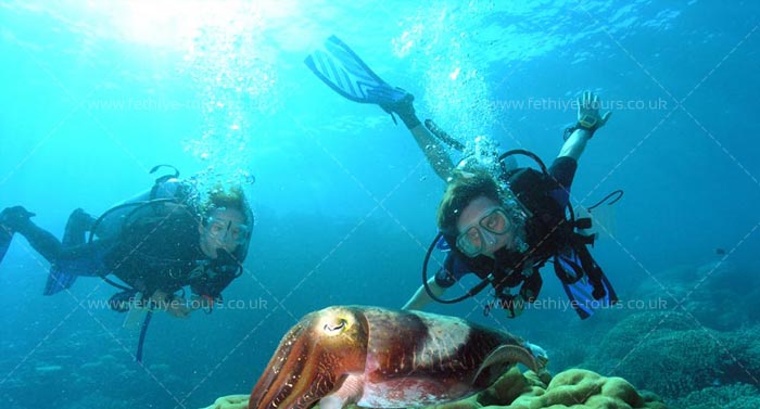 Scuba Diving Fethiye