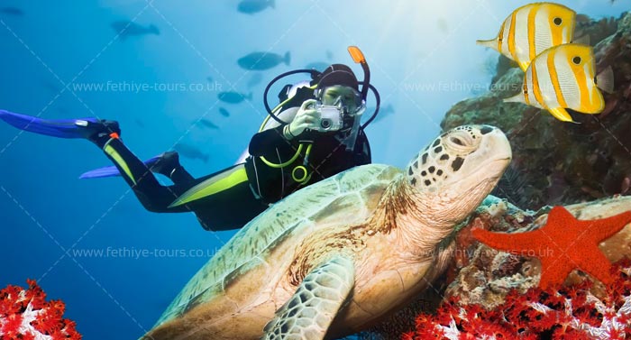 Scuba Diving Fethiye