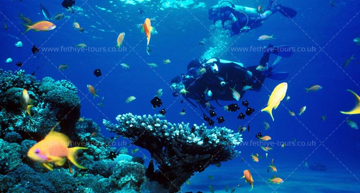 Scuba Diving Fethiye