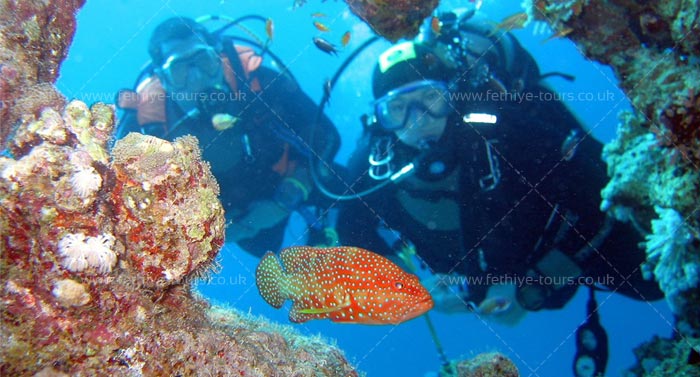 Scuba Diving Fethiye