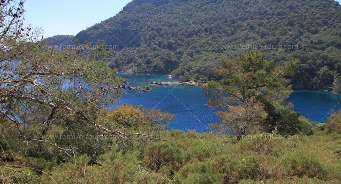 Chillout Day At Kayakoy