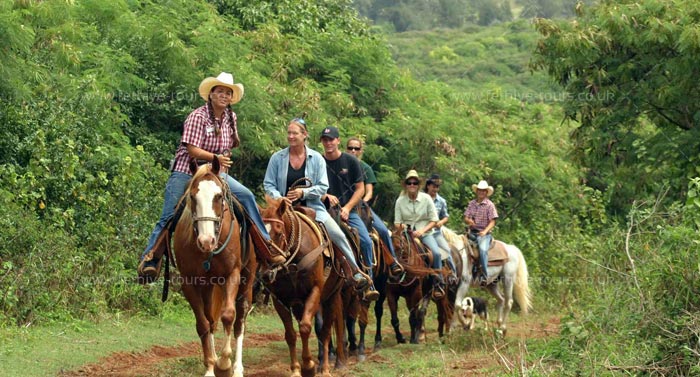 Horse Back Riding Fethiye