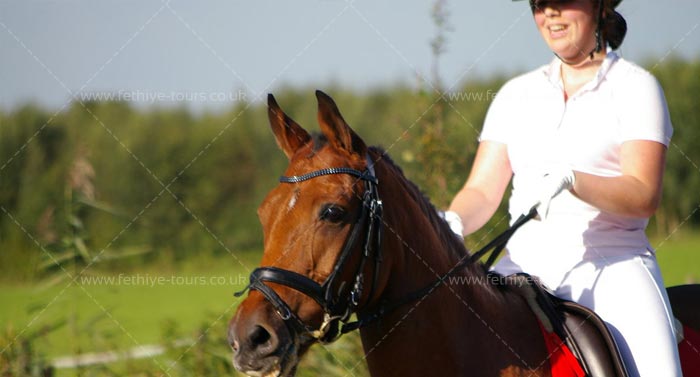 Horse Back Riding Fethiye